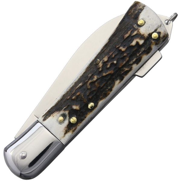 Mercury Hunting Lockback Stag Folding Knife 3" Z50CD15 Blade