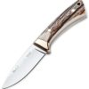 Muela Colibri Fixed Blade - Stag Drop Point