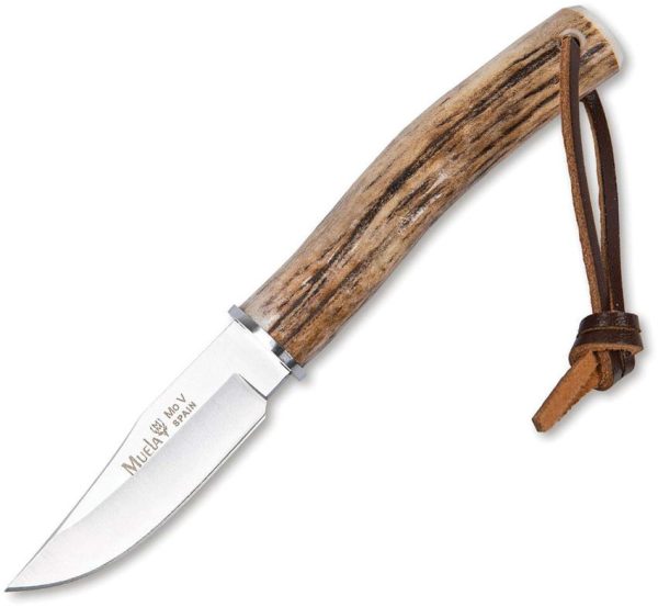 Muela BW-6A Fixed Blade Clip Point - Stag Handle