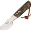 Muela Teckel Fixed Blade - Stag Handle Stainless Steel