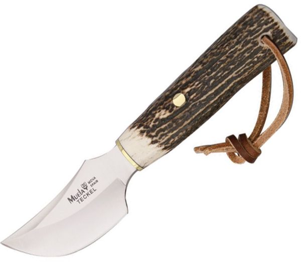 Muela Teckel Fixed Blade - Stag Handle Stainless Steel