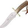 Muela Apache Fixed Blade - Stag Bowie 7.5 inches