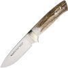 Muela Kodiak Fixed Blade - Stag Bone Drop Point