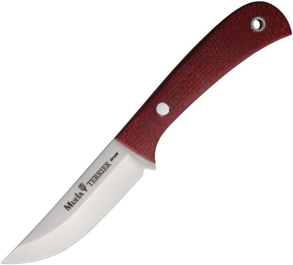 Muela Terrier Fixed Blade Red - 14C28N Sandvik Steel