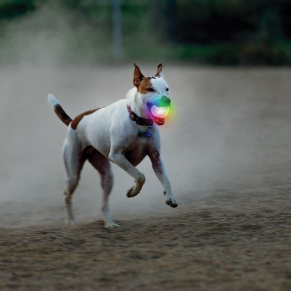 Nite Ize Glowstreak Wild LED Ball - Motion Activated