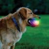 Nite Ize Glowstreak Wild LED Ball - Motion Activated
