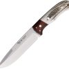 Nieto Coyote Fixed Blade 6" Satin 1.4116 Stainless Spain