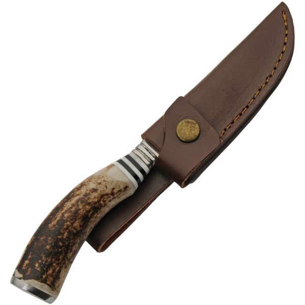 Pakistan Hunter Stag Bone 4.5in Satin Blade