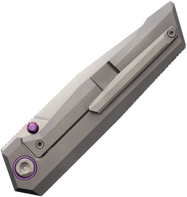 Salvator Framelock Ti PSW