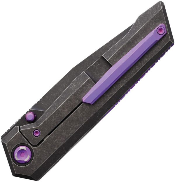 Salvator Framelock Ti DSW