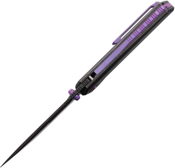 Salvator Framelock Ti DSW