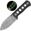 QS141M.jpg QSP Canary Neck Knife Damascus Green GITD Fixed Blade