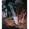 Ruike M661-TZ Framelock Titanium Black G10 Clip Point