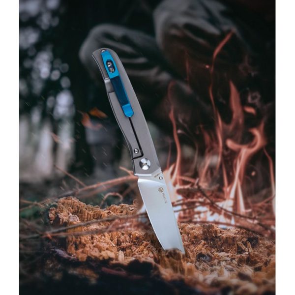 Ruike M661-TZ Framelock Titanium Black G10 Clip Point