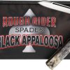 Black Appaloosa Doctor