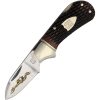 Rough Rider 30th Anniversary Cub Brown Bone Folding Knife