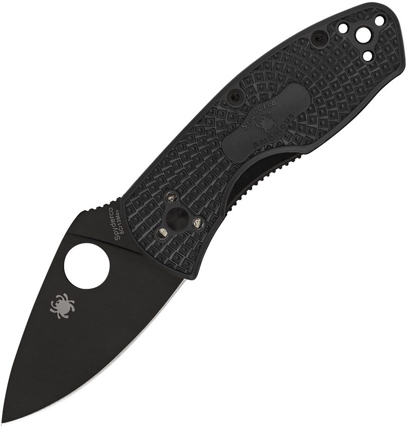 Spyderco Ambitious Folding Knife 2.25" 8Cr13MoV Linerlock Black
