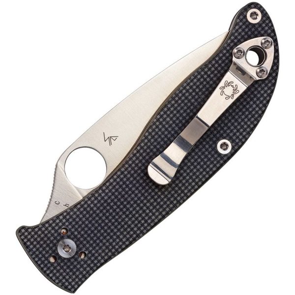 Spyderco Polestar CTS-BD1 Folding Knife Gray