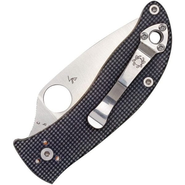 Spyderco Alcyone Linerlock Folding Knife 2.75" CTS-BD1 Gray G10