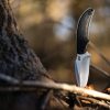 Schrade Adder Fixed Blade AUS-10A Satin