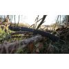 Schrade Decimate Kukri 13" Blade Black Oxide 3Cr13 w/ Sheath