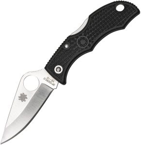 Spyderco Ladybug 3 Lockback Black FRN Knife