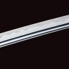 Dragon King Winter Sun Katana 5160 Carbon Steel Blade Sword
