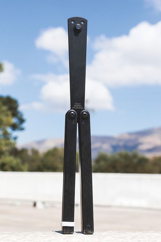 Squiddy-B Trainer