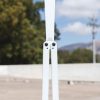 Squiddy Trainer