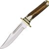 SS7001.jpg Steel Stag El Dorado Skinner Fixed Blade Stag Handle Knife