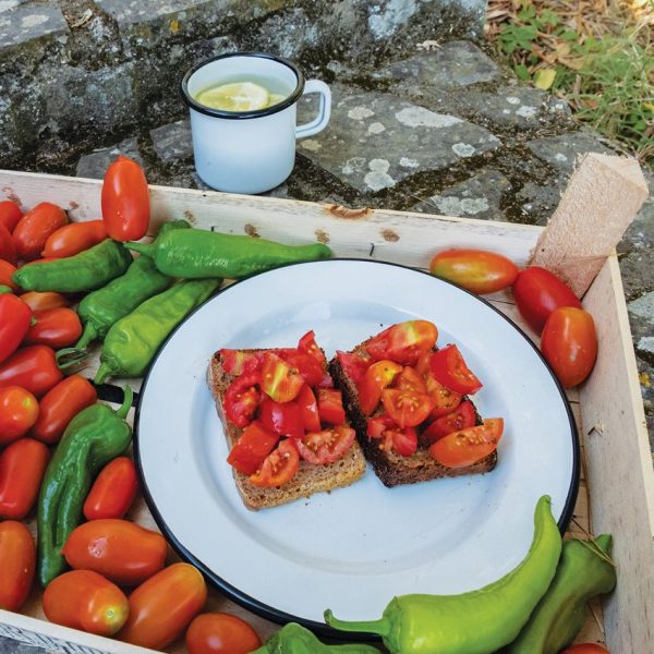 SSA51387_add_03.jpg Swiss Advance COELO Enamel Plate 9.44in - Black/White