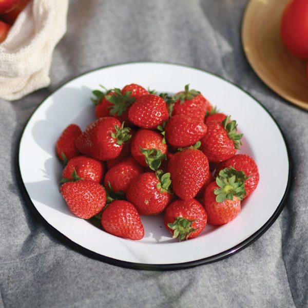 SSA51387_add_05.jpg Swiss Advance COELO Enamel Plate 9.44in - Black/White