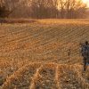 Stealth Cam Revolver Pro 360 Trail Camera - 100ft Range