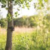 Stealth Cam Fusion Max Cellular Trail Camera 36MP Night Vision