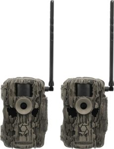 STC06980.jpg Stealth Cam Fusion Max Cellular Trail Pack 2-Pack 36MP