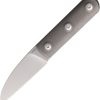Ally Fixed Blade Titanium