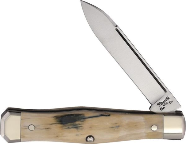 TITUS07.jpg Lexingtonian Folder Mammoth