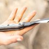 TOPS HKT Hunter Killer Tracker 1095 Steel Fixed Blade Knife