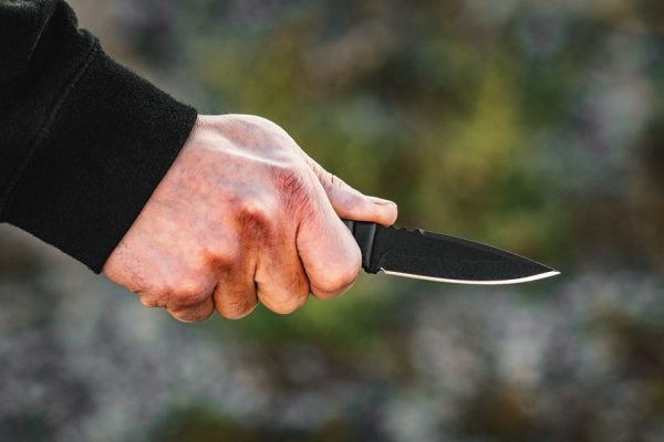 TOPS Little Bro Fixed Blade Knife 1095 Steel Micarta Handle