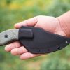 TOPS Wolf Pup XL Fixed Blade 1095 Carbon Steel Black Micarta