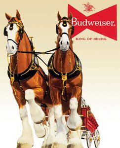 Tin Signs Budweiser Clydesdale Team Vintage