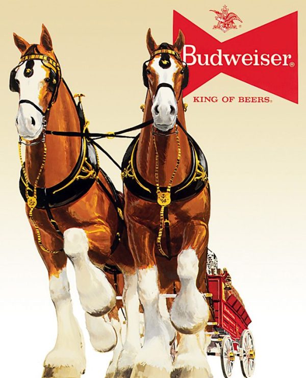 Tin Signs Budweiser Clydesdale Team Vintage