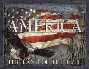TSN2159.jpg Tin Signs America Land of Free - 16 x 12.5 inches
