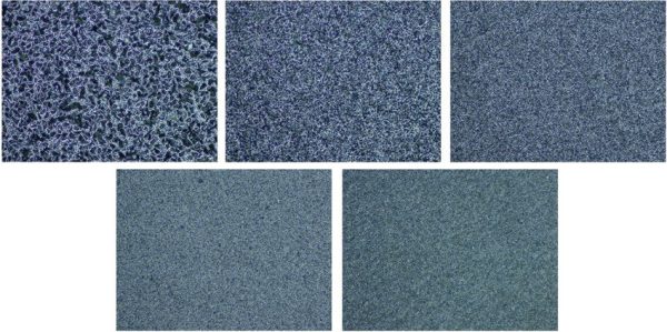 TSPROF Diamond Plates Set 5-Stone Sharpening Progression