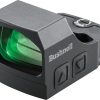 RXS-10 Green Dot Sight