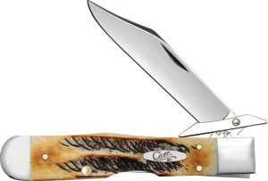 CA65349.jpg Cheetah Cub 6.5 Bone