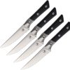 MCT3600B12SETBK-1.jpg 4.5" Steak Set SW FS Black G10