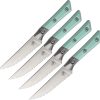 MCT3600B12SETCA-1.jpg 4.5" Steak Set SW FS Caribbean