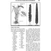 U.S. Air Force Pocket Handbook - Survival Guide 358 Page Paperback