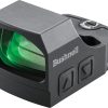 RXS-10 Green Dot Sight